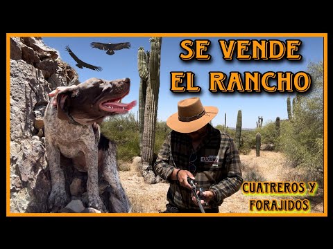 CUATREROS Y FORAJIDOS PARTE 13 RANCHO A LA VENTA ACABAN CON EL GANADO….. !!!!