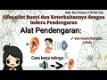 Understanding Sound and Hearing Concepts
