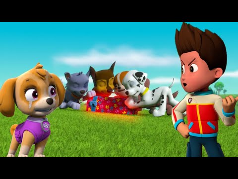 PAW Patrol Mighty Pups+Skye+Chase Save Adventure Bay! Compilation 24   Nick Jr. HD