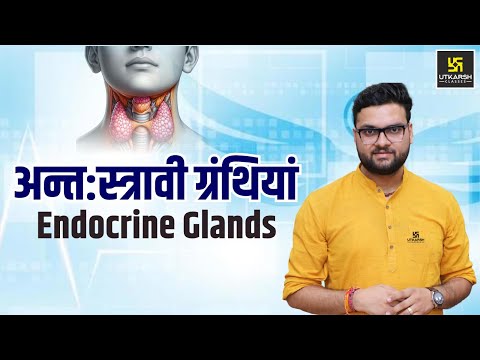 अंतःस्त्रावी ग्रंथियां (Endocrine Glands) By Kumar Gaurav Sir