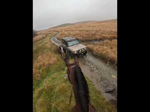 Meeting some off-roaders on the green lanes #horse #lurcher #offroading #offroad