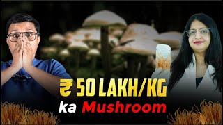 Be A CROREPATI By Selling Healthy Mushroom [3 Hrs Work/Day] 😲 | 2025 Step By Step Guide
