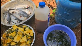 Homemade fish amino protein and vitamins Complex fermentation for chicken