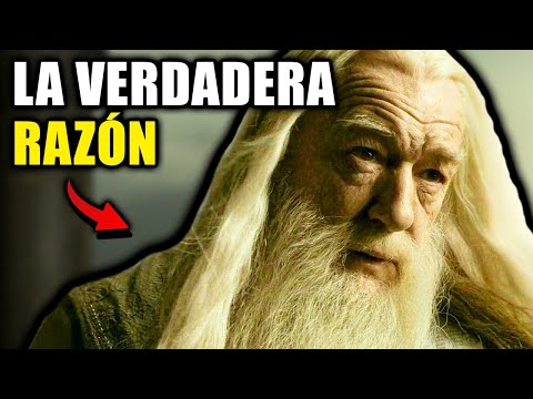 La VERDADERA RAZÓN Por La Que Dumbledore Sabía de la Cueva - Harry Potter Explicado