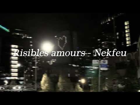 Risibles amours- nekfeu (speedup)