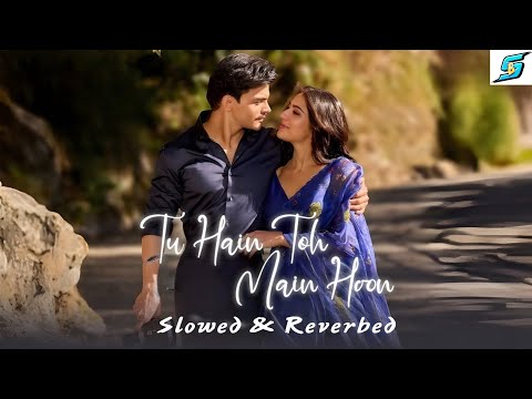 Tu Hain Toh Main Hoon (Slowed & Reverb) | Arijit Singh | Afsana Khan | Sky Force | Sakeeb Beatz