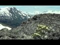 Exploring Taiga and Tundra Biomes