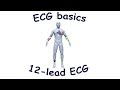 ECG Electrode Functions and Placement