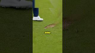 The Cleanest Divot You’ll Ever See ⛳️