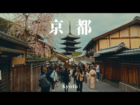Cherry blossom in Kyoto- Japan travel vlog