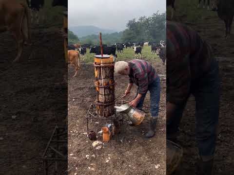 Why is milk extracted in such a bag #shortvideo