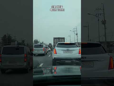 신호대기중 이상한 기아차! #shorts 편집 ^-----^