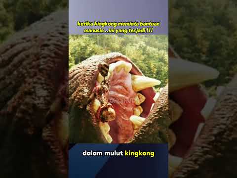 Ketika Kingkong meminta bantuan manusia ini yang terjadi #alurcerita #alurfilm #shortvideo ##fyypppp