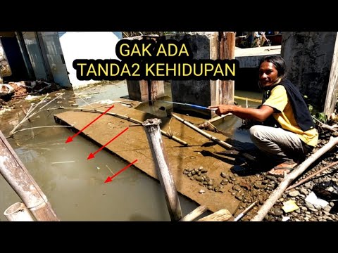 Spot Nya gak menjanjikan!! Tapi lihat hasilnya,, cuma hitungan detik umpan langsung di sambar