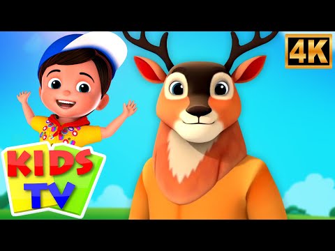 Zoo Song, தமிழ் குழந்தைகள் ரைம்ஸ், Ice Carme Song + Tamil Animal Song and Cartoon Videos