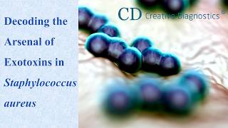 Decoding the Arsenal of Exotoxins in Staphylococcus aureus
