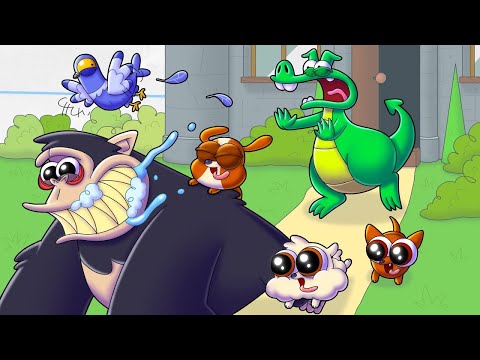 MASCOTA DEL DRAGÓN 🐶❤️🦍 (NUEVO) Niño y dragón | Dibujos animados para niños | WildBrain Toons