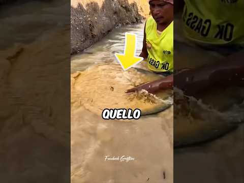 HA FATTO LA SCOPERTA PIÚ INCREDIBILE DI SEMPRE! 🤯 #virale #divertente