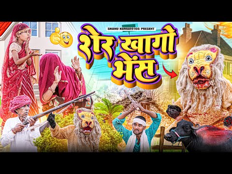 शेर खागो भैंस न || दादो काड दियो गोली | Rajasthani Marwadi Comedy