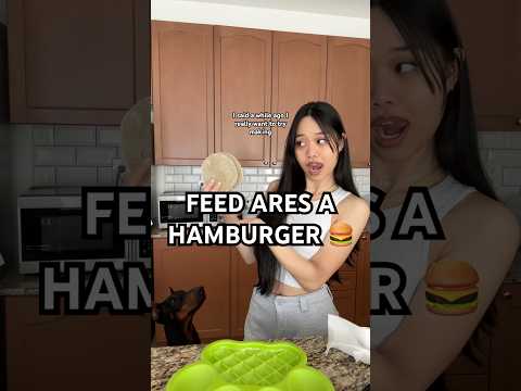 WE MADE THE BURGER 😭😛 #dogshorts #doberman #dogfood #dogfeeding