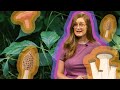 Identifying Toxic Plants and Mushrooms