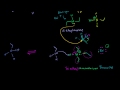 Understanding Amines and Sn2 Reactions