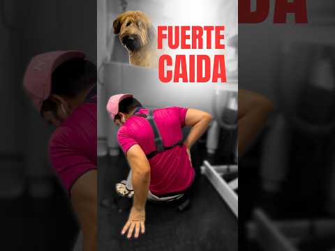 ME RESBALÉ Y CAI CON EL PERRO ENCIMA🤯 #shorts #viralvideo