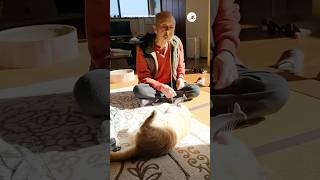 おじいちゃん猫愛止まらない｜PECO #shorts
