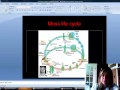 Plant Life Cycles and Adaptations