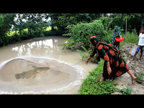 best cast net fishing in village by machhali wala - catching big catfish by cast net @amazonfishing