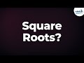 Exponential Expressions and Square Roots