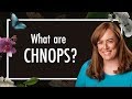 Exploring the Role of CHNOPS in Biochemistry