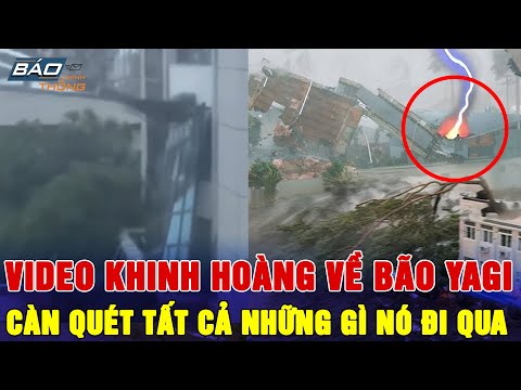 ViDEO: Cận Cạnh Bão Yagi Càn Quét Quảng Ninh Và Hải Phòng, Hàng Triệu Người Việt Nam Cầu Xin Hết Bão