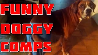 Ultimate Funny Dogs Compilation // DailyFails