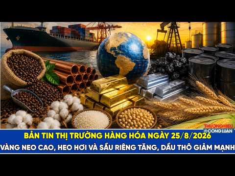 Bản tin thị trường hàng hóa 25/8/2026: Vàng neo cao, heo hơi và sầu riêng tăng, dầu thô giảm mạnh