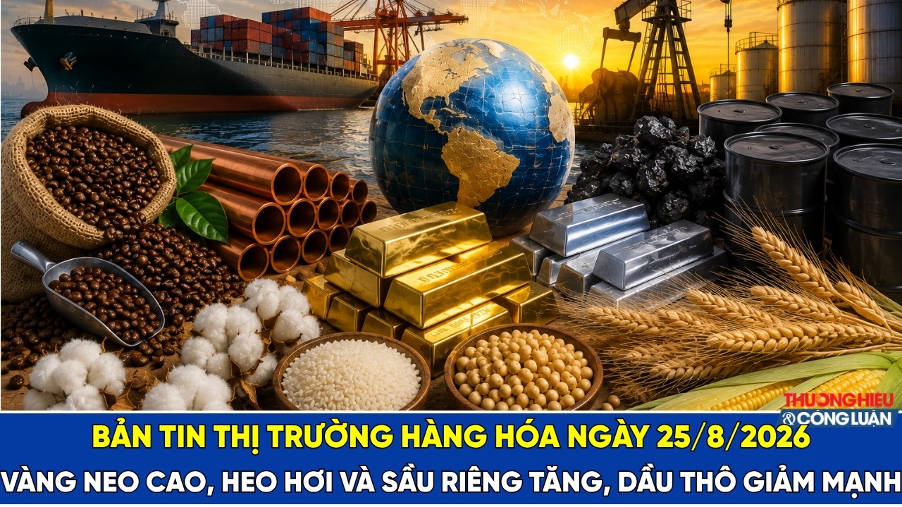 Bản tin thị trường hàng hóa 25/8/2026: Vàng neo cao, heo hơi và sầu riêng tăng, dầu thô giảm mạnh