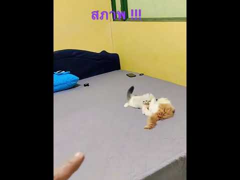 นุด หลับให้สบาย นะ