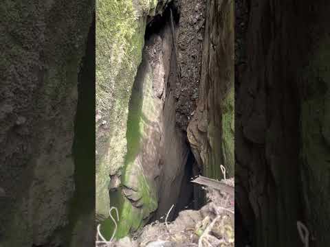 മഞ്ഞുമ്മൽ ഫീലിം കണ്ടപ്പോൾ തോന്നി #shortvideo