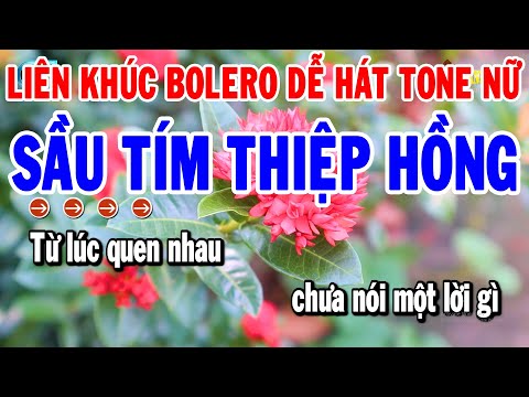 Karaoke Liên Khúc Bolero Tone Nữ Dễ Hát Nhất 2024 | Sầu Tím Thiệp Hồng – Người Tình Không Đến