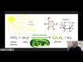 Photosynthesis and Cellular Respiration Insights