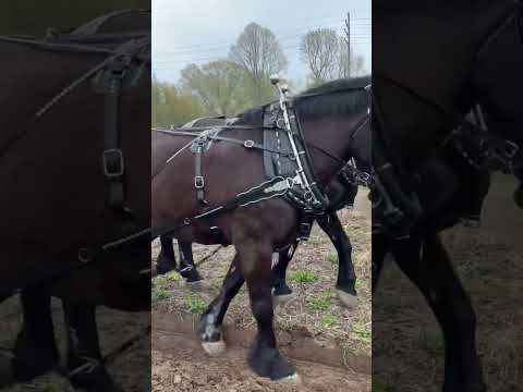 Baldwin Plow Day in Ashtabula, Ohio