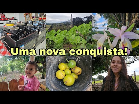 GANHEI UM FOGÃO DA MINHA MÃE 🥰PORQUE SUMI?PRIMEIRO ALMOÇO😍Colheita de maracujá