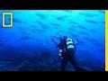 Marine Conservation and Protected Areas