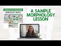 Morphology and Language Development