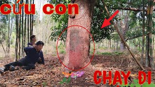 Kinh Hoàng Khuôn Mặt Quỷ Sức Hiền Tại Cây Xoài Khiến Ai Cũng Sợ |Phim Ma