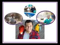Evolution and Characteristics of Vertebrates