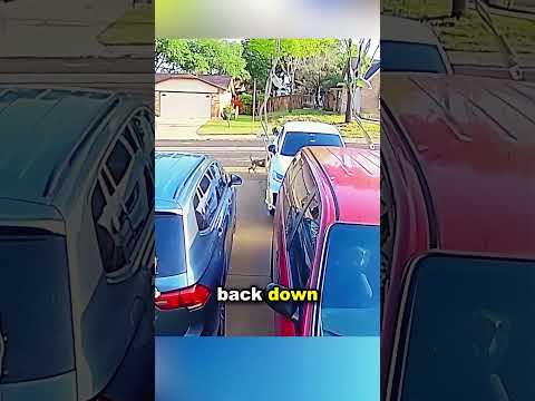 Brave veteran rescued a woman from aggressive dogs#shorts