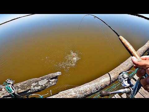 PESCA CON MUCHOS PIQUES EN BOCAS MUY DURAS