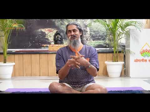 Transform Your Life: Yoga Master-Pro (YMP) Certification Explained #yogapeace #dhakaram