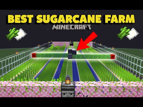 Easy & Best Sugarcane/Paper Farm in Minecraft | Simple Tutorial for Maximum Yield